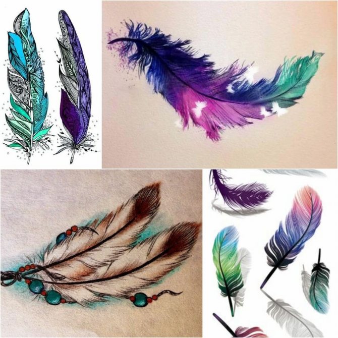 Plume de tatouage - Plume de tatouage - Plume de tatouage - Croquis de plume de tatouage