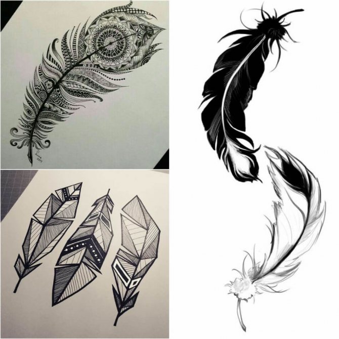Tatouage d'une plume - Tatouage d'une plume - Tatouage d'une plume - Esquisse de tatouage d'une plume