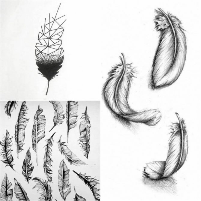 Tatouage d'une plume - Tatouage d'une plume - Tatouage d'une plume - Esquisse de tatouage d'une plume