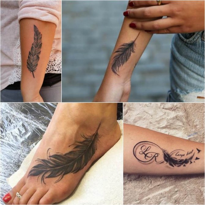 Tattoo of a Feather - Tattoo of a Feather - Tattoo of a Feather femme