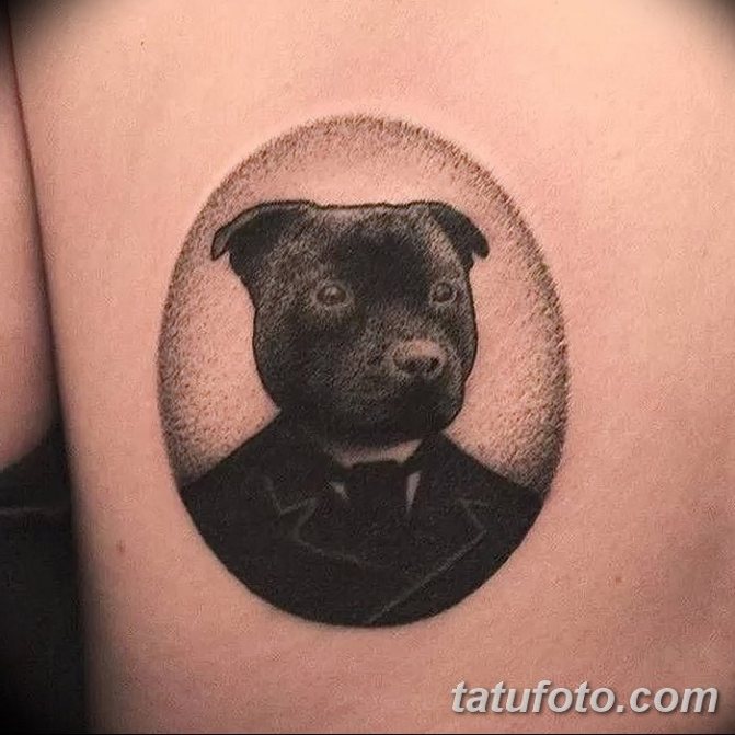 tatouage pit bull dotwork sur le côté