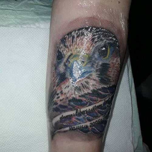 Enveloppement pour la cicatrisation des tatouages