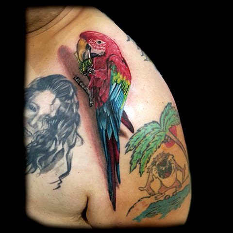 Tatouage d'un perroquet sur l'avant-bras