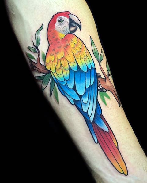 Tatouage de perroquet au poignet