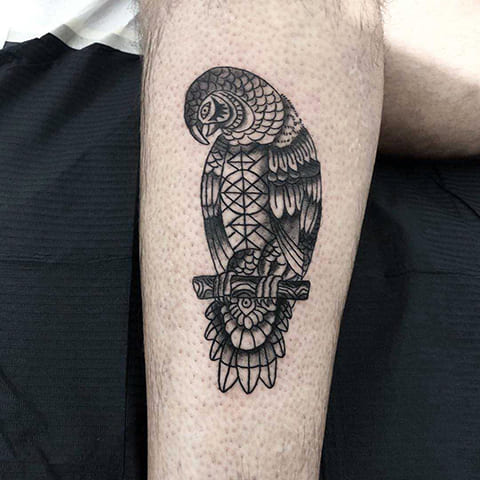 Tatouage d'un perroquet sur l'avant-bras
