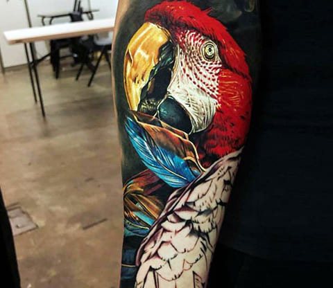 Tatouage d'un perroquet sur le bras