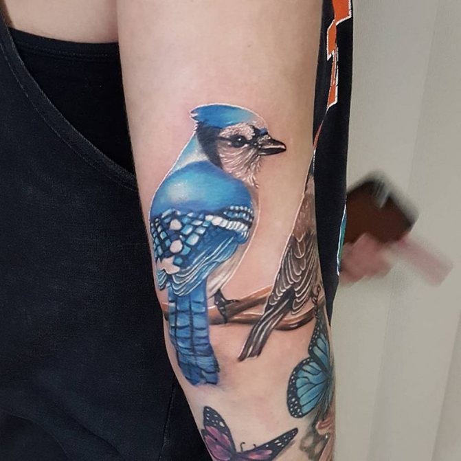 Tatouage d'un oiseau - Tatouage d'un oiseau