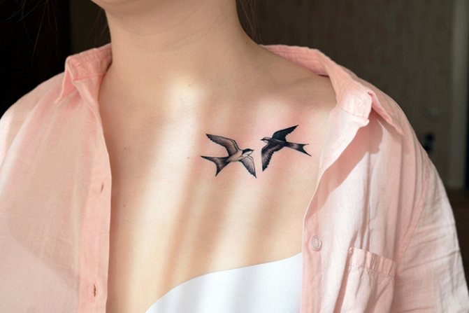 Tatouage d'oiseaux sur la clavicule. Image, signification, croquis