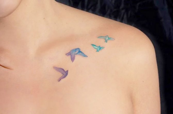 Tatouage d'oiseaux sur la clavicule. Image, signification, croquis