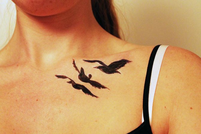Tatouage d'oiseaux sur la clavicule. Photos, sens, croquis