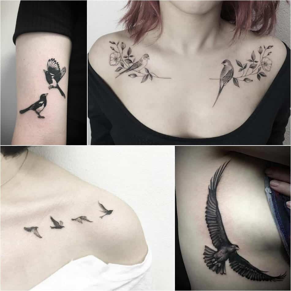 photo d'oiseaux tatoués