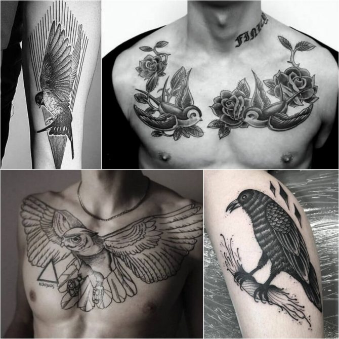 Tatouage oiseaux - Tatouage oiseaux pour hommes - Tatouage oiseaux pour hommes