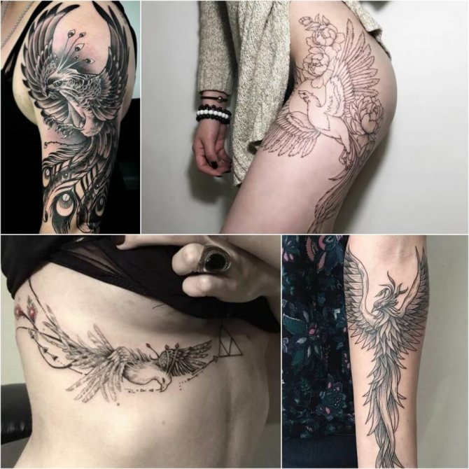 Tattoo oiseaux - Tattoo phoenix - Tattoo phoenix
