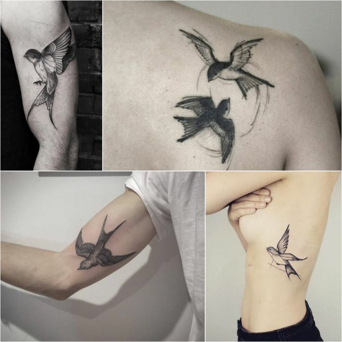 Tatouage d'oiseaux - Tattoo Swallow - Tattoo Swallow