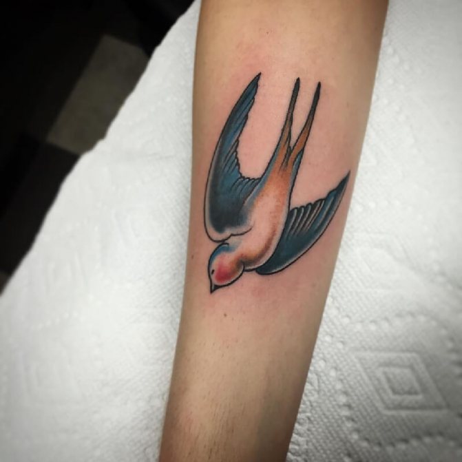 Tatouage d'oiseaux - Tattoo Swallow - Tattoo Swallow