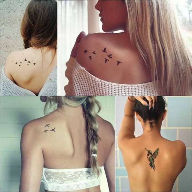 Tattoo oiseaux - Tatouage d'oiseaux sur le dos