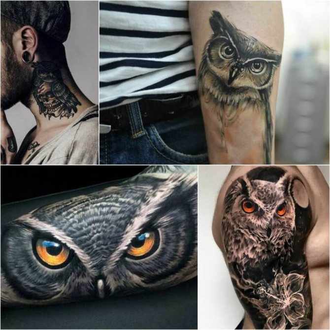 Tattoo oiseaux - Tattoo hibou - Tatouage d'un hibou
