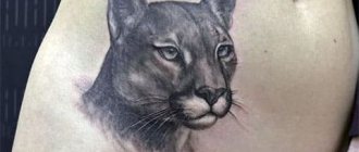 Tattoo Cougar