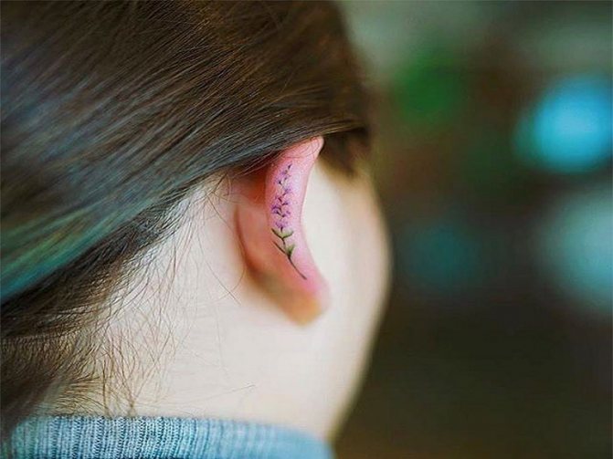 tatouage coquillage