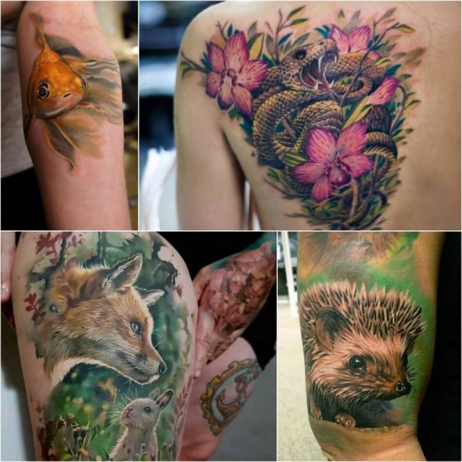 Tattoo Realism - Tatouage réaliste - Style de tatouage réaliste - Tatouage féminin réaliste