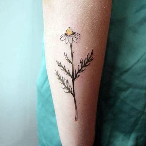 Tatouage d'une marguerite