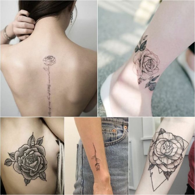 Rose de tatouage - Rose de tatouage pour les filles - Rose de tatouage pour les femmes
