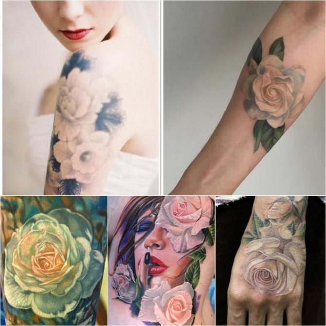Tattoo Rose - Signification des couleurs de Tattoo Rose - Tattoo Rose Blanche