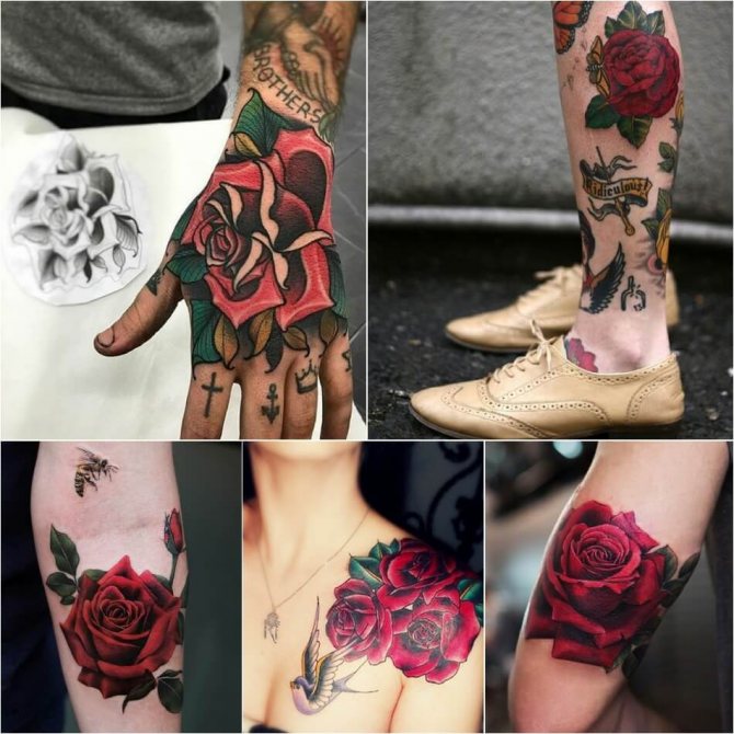 Tattoo rose - Signification de la couleur de la rose - Tattoo rose rouge