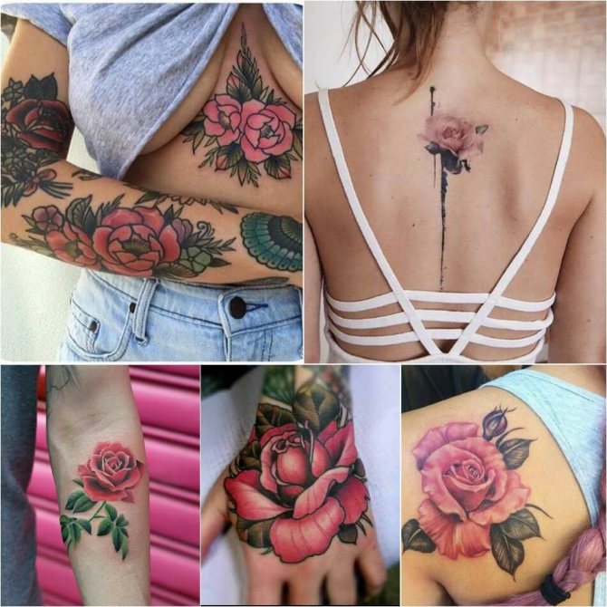 Tattoo rose - Signification de la couleur de la rose dans le tatouage - Tattoo rose rose