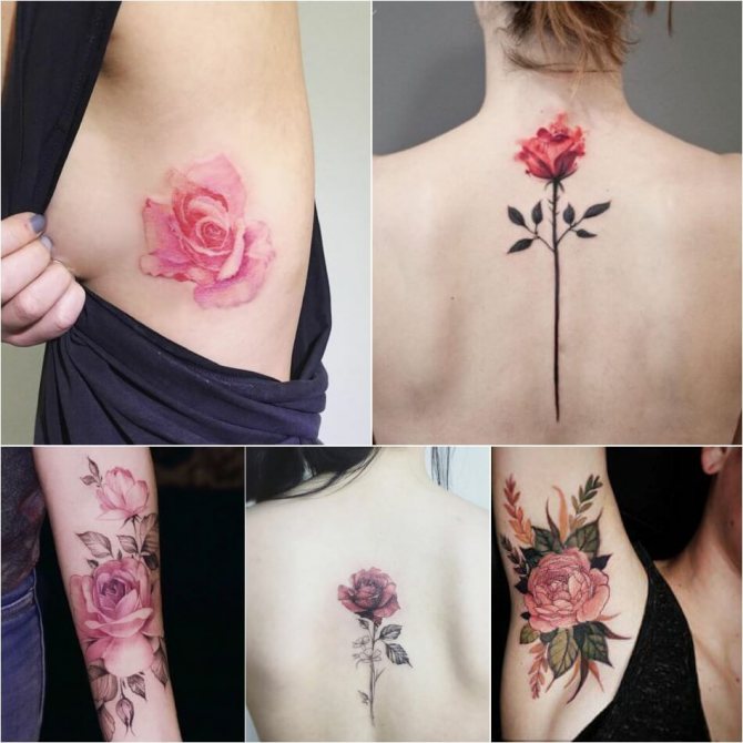 Tattoo rose - Signification de la couleur de la rose dans le tatouage - Tattoo rose rose