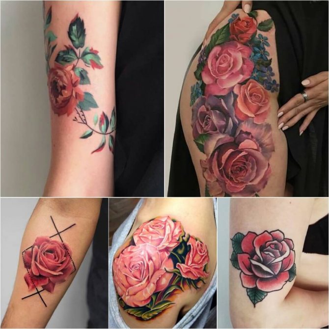 Tattoo rose - Signification de la couleur de la rose dans le tatouage - Tattoo rose rose