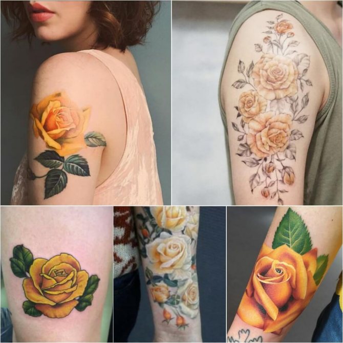 Tattoo Rose - Signification de la couleur de la rose - Tatouage de la rose jaune