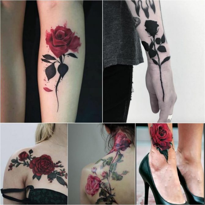 Tattoo Rose - Signification du Tattoo Rose - Tattoo Rose sans épines - Signification du Tattoo Rose sans épines