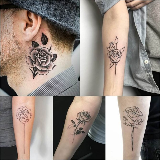 Tattoo Rose - Signification de Tattoo Rose - Tattoo Rose sans pointes - Signification de Tattoo Rose sans pointes