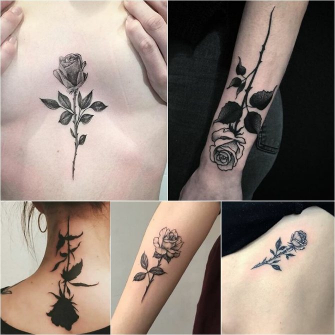 Tattoo rose - Tattoo rose signification - Tattoo rose avec épines - Tattoo rose avec épines signification