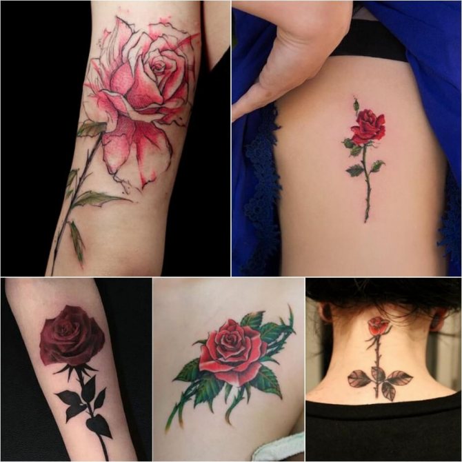 Tattoo Rose - Signification de Tattoo Rose - Tattoo Rose avec Pointes - Signification de Tattoo Rose avec Pointes