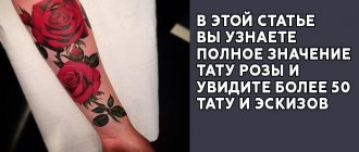 Tatouage de la rose
