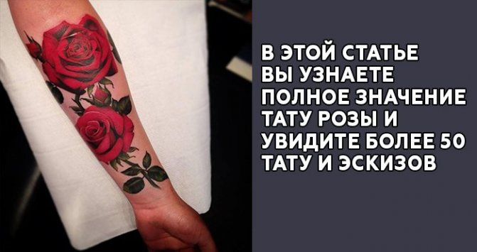 Tatouage de la rose