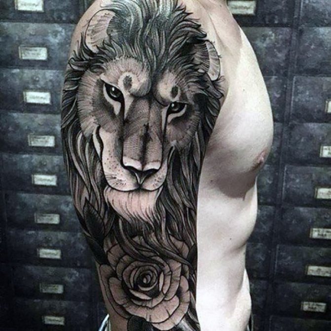 Manchon de tatouage lion