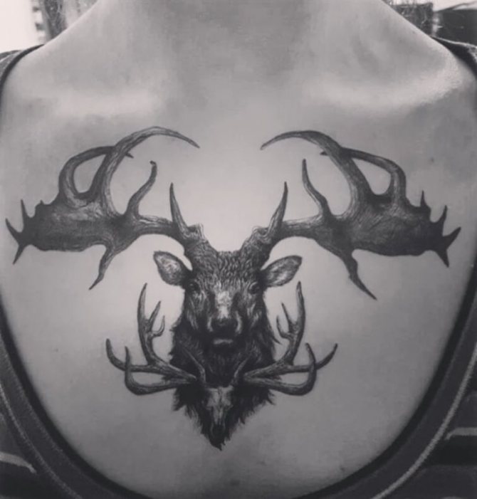 tatouage de cerf