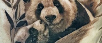 tatouage avec panda