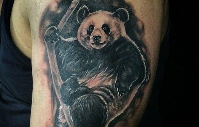 tatouage d'un panda