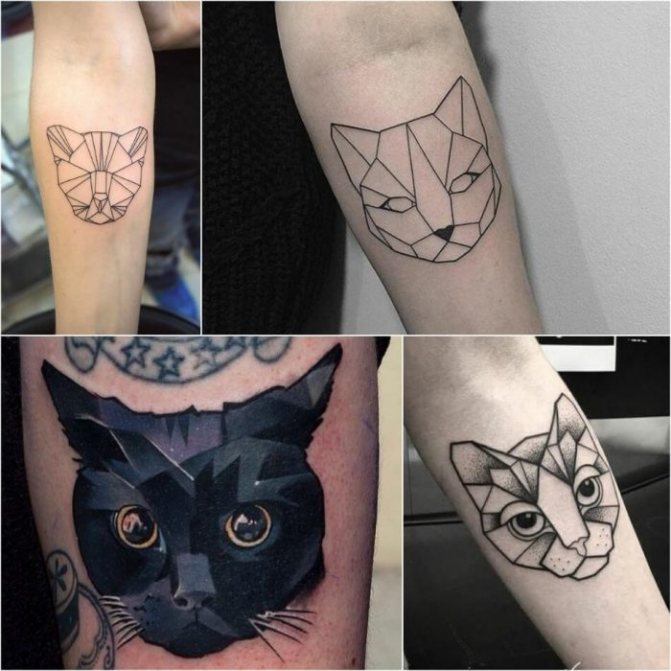 Tatouage avec des animaux - Tatu-kot-Tatu-kot-geometriya-Taturovka-koshka-geometriya
