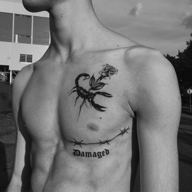 tatouage scorpion - tatouage scorpion et rose - tatouage rose et scorpion