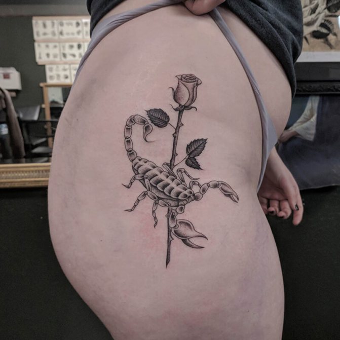 tatouage scorpion - tatouage scorpion et rose - tatouage rose et scorpion