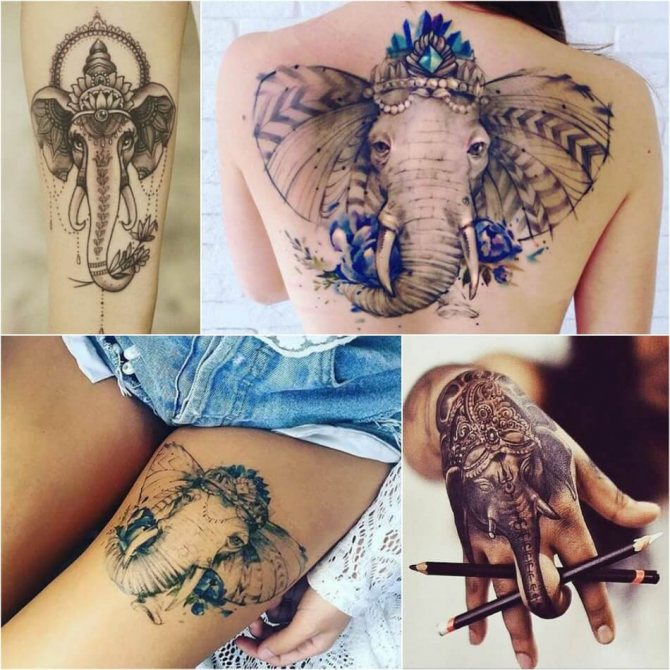 Tattoo Elephant - Histoire et Symbolisme du Tattoo Elephant