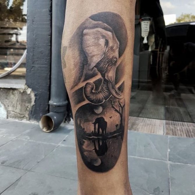 homme tatouage éléphant