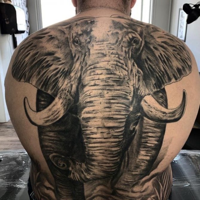 tatouage dos d'éléphant