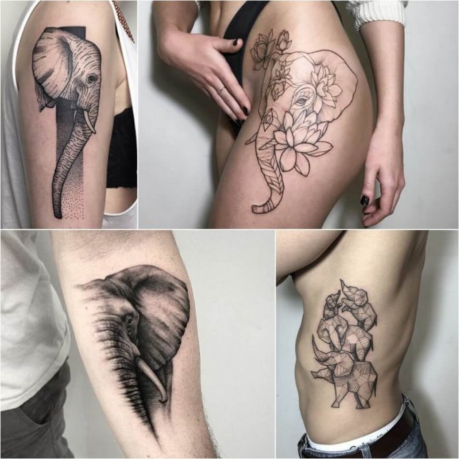 Tatouage d'un éléphant - signification du tatouage d'un éléphant