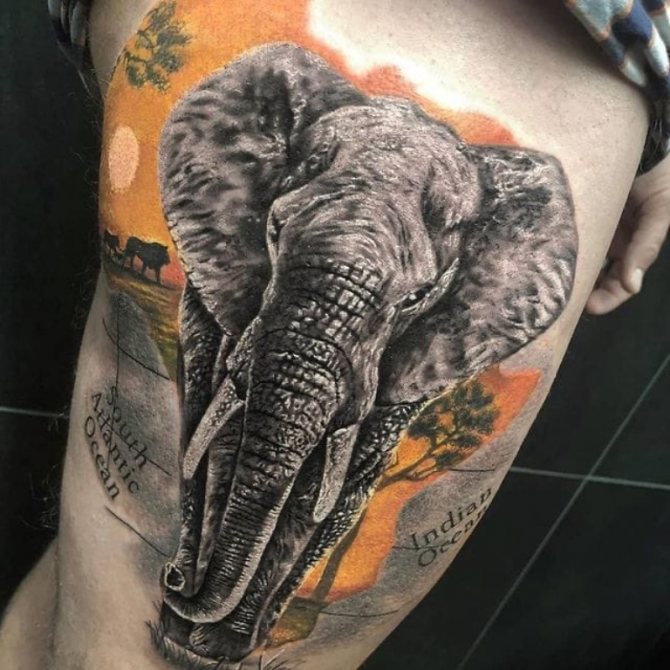 tatouage d'éléphant